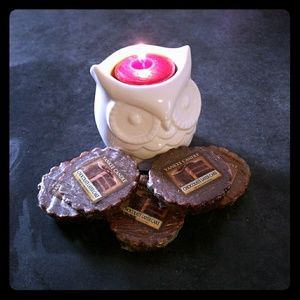 SCENTSY ROCK Warmer BUNDLE